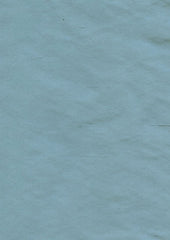 Nobu 079 Tealiss