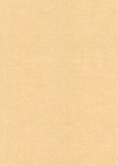 Rembrandt 598738 Nude