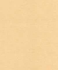Rembrandt 598738 Nude