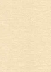 Rembrandt 598741 Putty