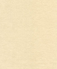 Rembrandt 598741 Putty