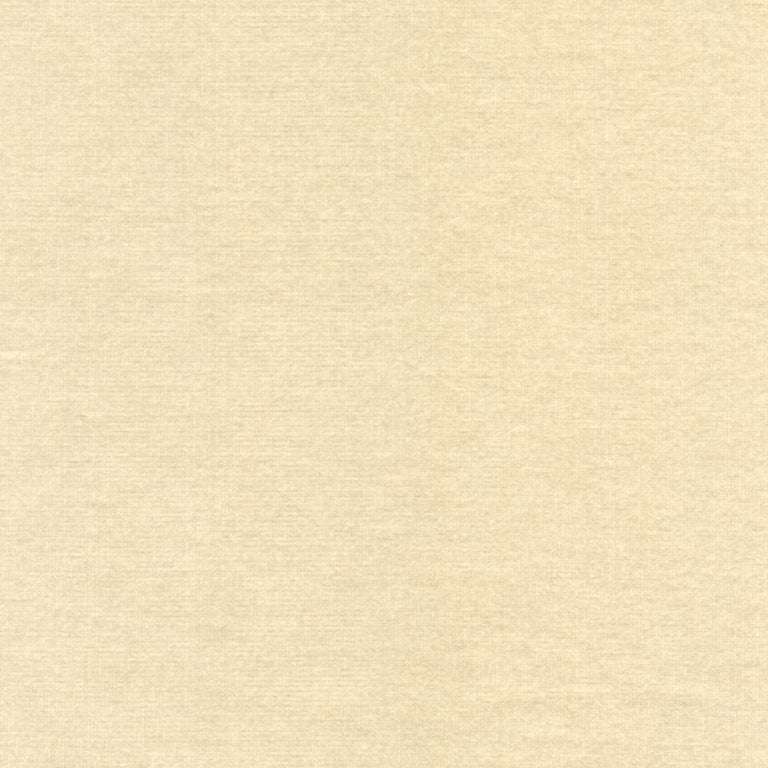 Rembrandt 598741 Putty