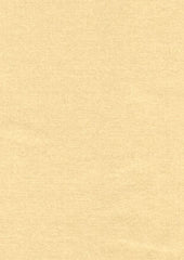 Rembrandt 598743 Chamois