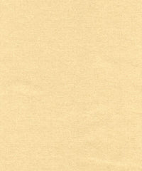 Rembrandt 598743 Chamois