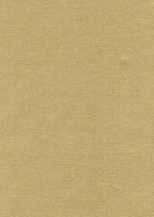 Rembrandt 598747 Stone