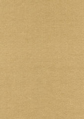 Rembrandt 598748 Mushroom