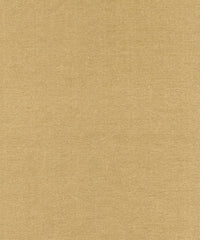 Rembrandt 598748 Mushroom