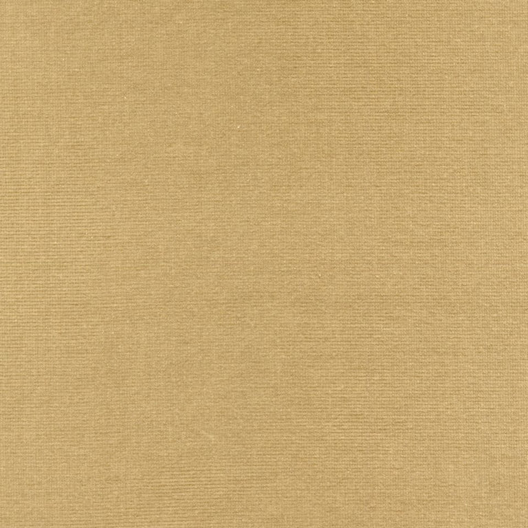 Rembrandt 598748 Mushroom