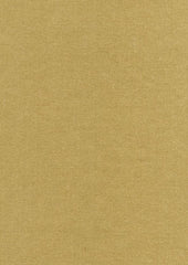 Rembrandt 598749 Willow