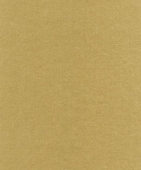 Rembrandt 598749 Willow