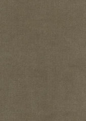 Rembrandt 598750 Mineral