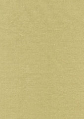 Rembrandt 598752 Mist
