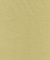 Rembrandt 598752 Mist