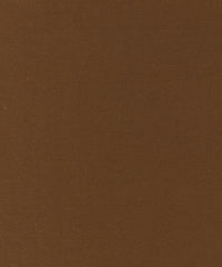 Rembrandt 598753 Camel