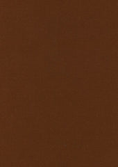 Rembrandt 598754 Cinnamon