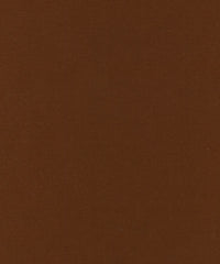 Rembrandt 598754 Cinnamon