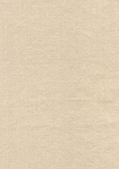 Rembrandt 598778 Clay