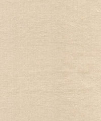 Rembrandt 598778 Clay