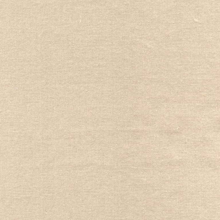 Rembrandt 598778 Clay