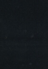 Rembrandt 598782 Black
