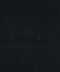 Rembrandt 598782 Black