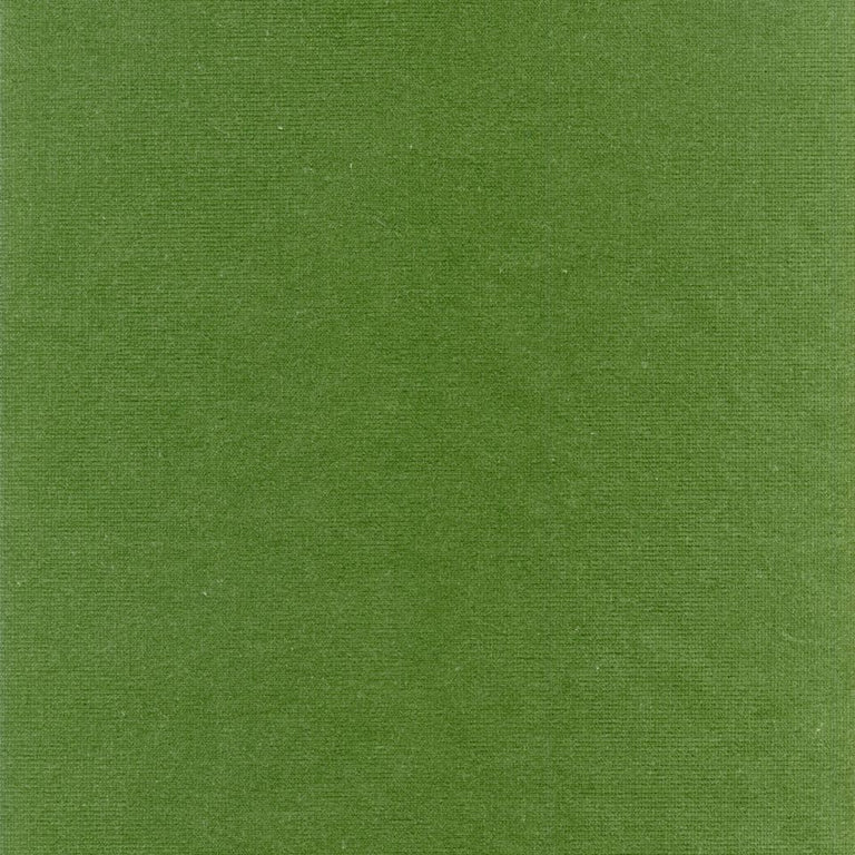 Rembrandt 598794 Moss