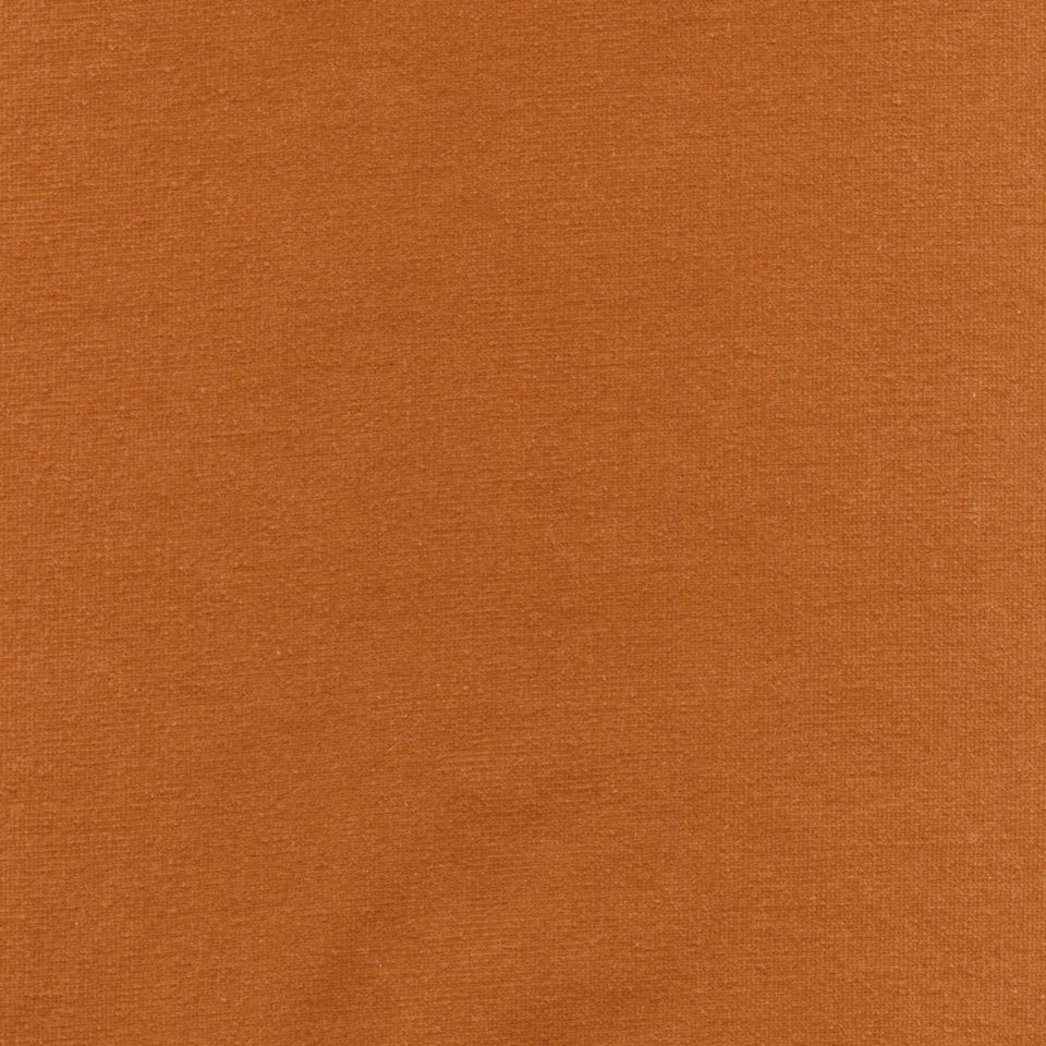 Rembrandt 598799 Terracotta