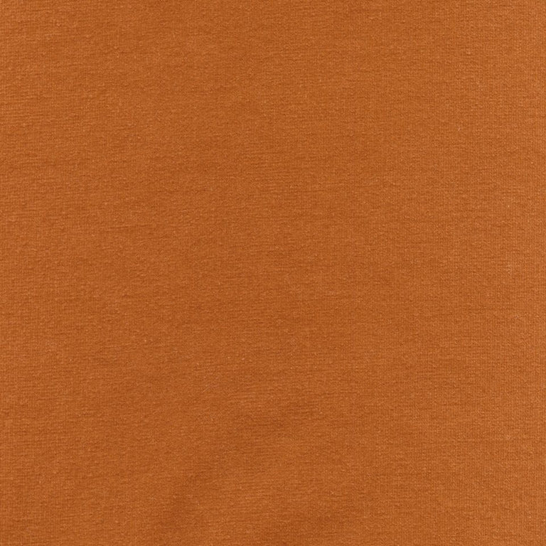 Rembrandt 598799 Terracotta