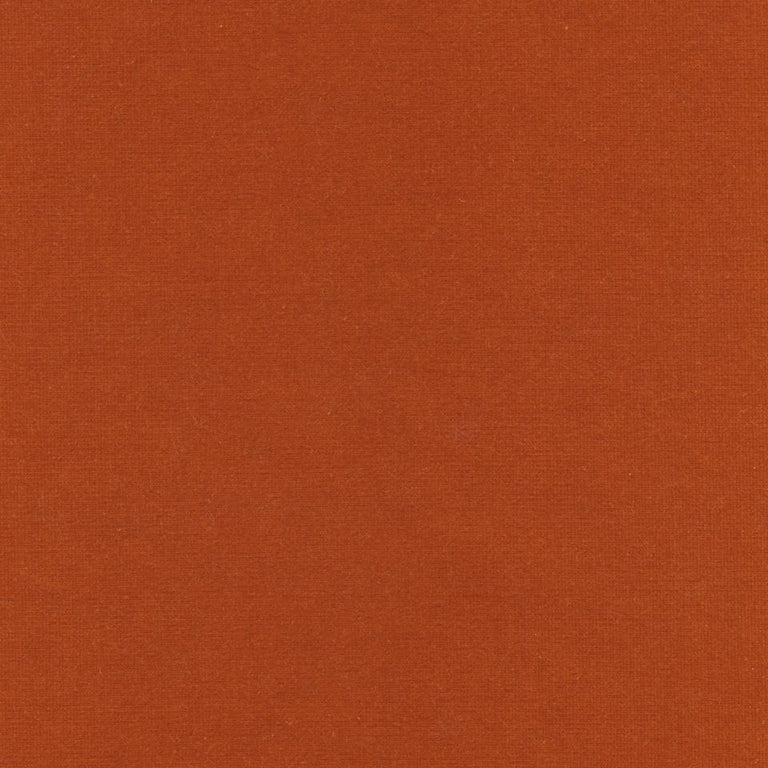 Rembrandt 598800 Burnt Orange