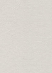 Rembrandt 598816 Oyster