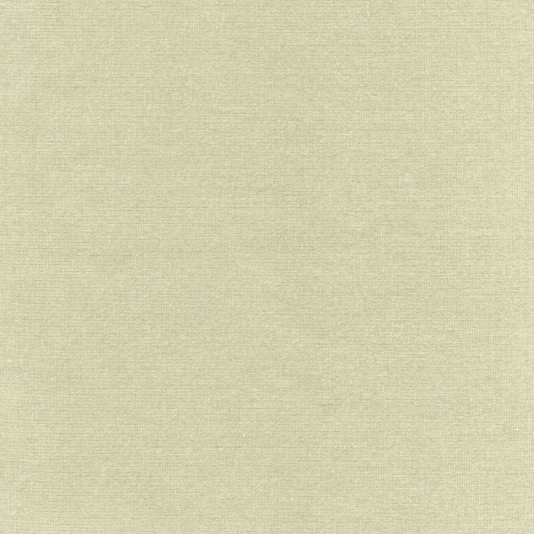 Rembrandt 598817 Mint