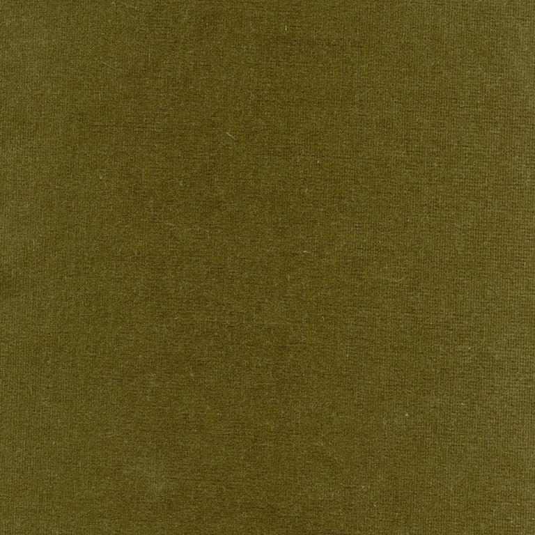 Rembrandt 598823 Seaweed