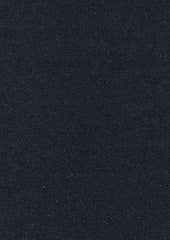 Rembrandt 598832 Midnight