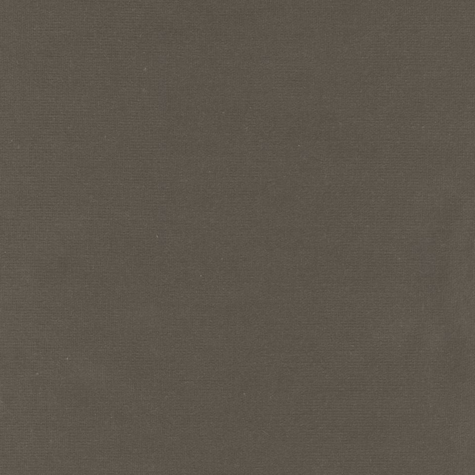 Rembrandt 598835 Ash