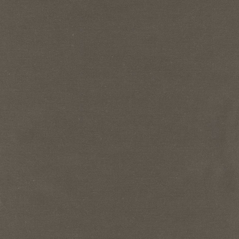 Rembrandt 598835 Ash