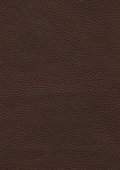 Rockley Cl228 Brun