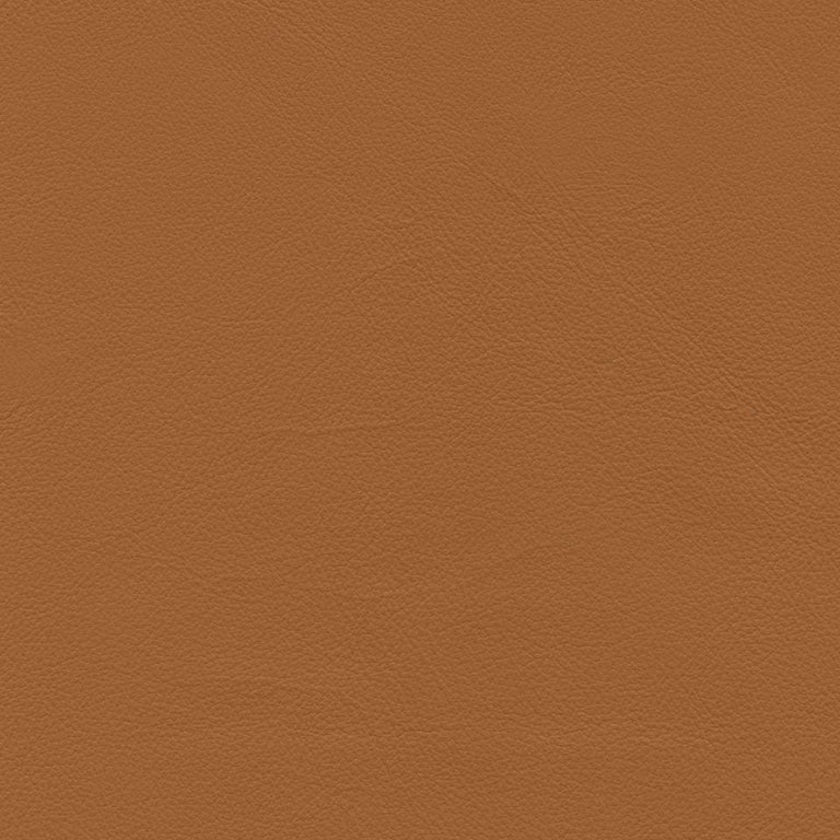Roxbury Cl636 Lorange