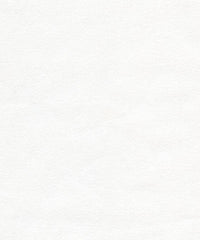 Saddleback Brushed Twill 700 White
