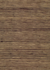Sassafras 14027 Golden Ebony