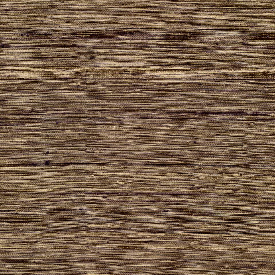 Sassafras 14027 Golden Ebony