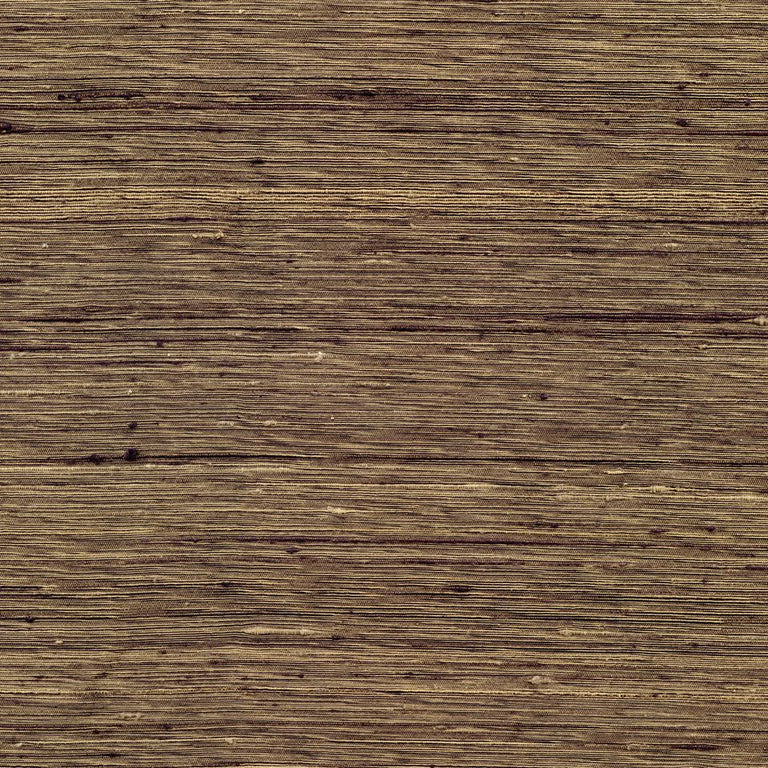 Sassafras 14027 Golden Ebony