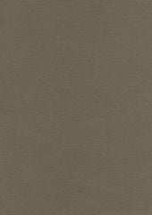 The Jack Cotton Canvas 806 Olivino