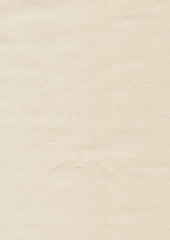 Tiffany Silk Wool 90005 Almond