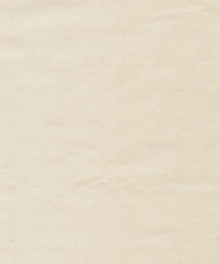Tiffany Silk Wool 90005 Almond