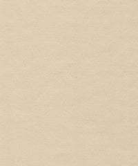 Tiffany Silk Wool 90006 Desert