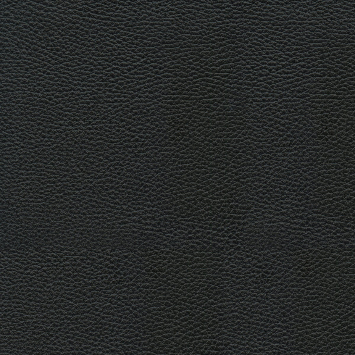 Hazel-Leather Lx5006 Noir