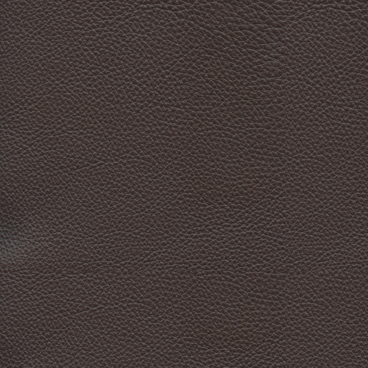 Hazel-Leather Lx5009 Cocoa