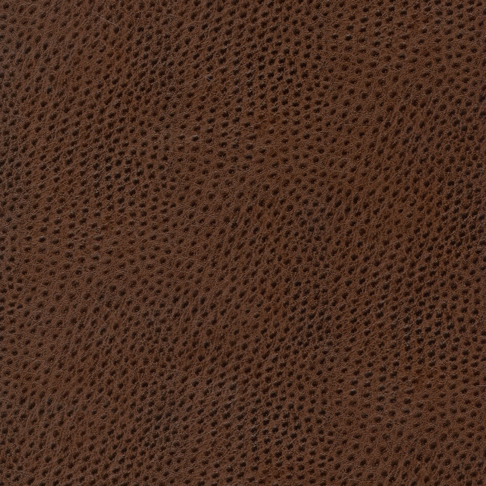 Cadence H065 Copper Brown
